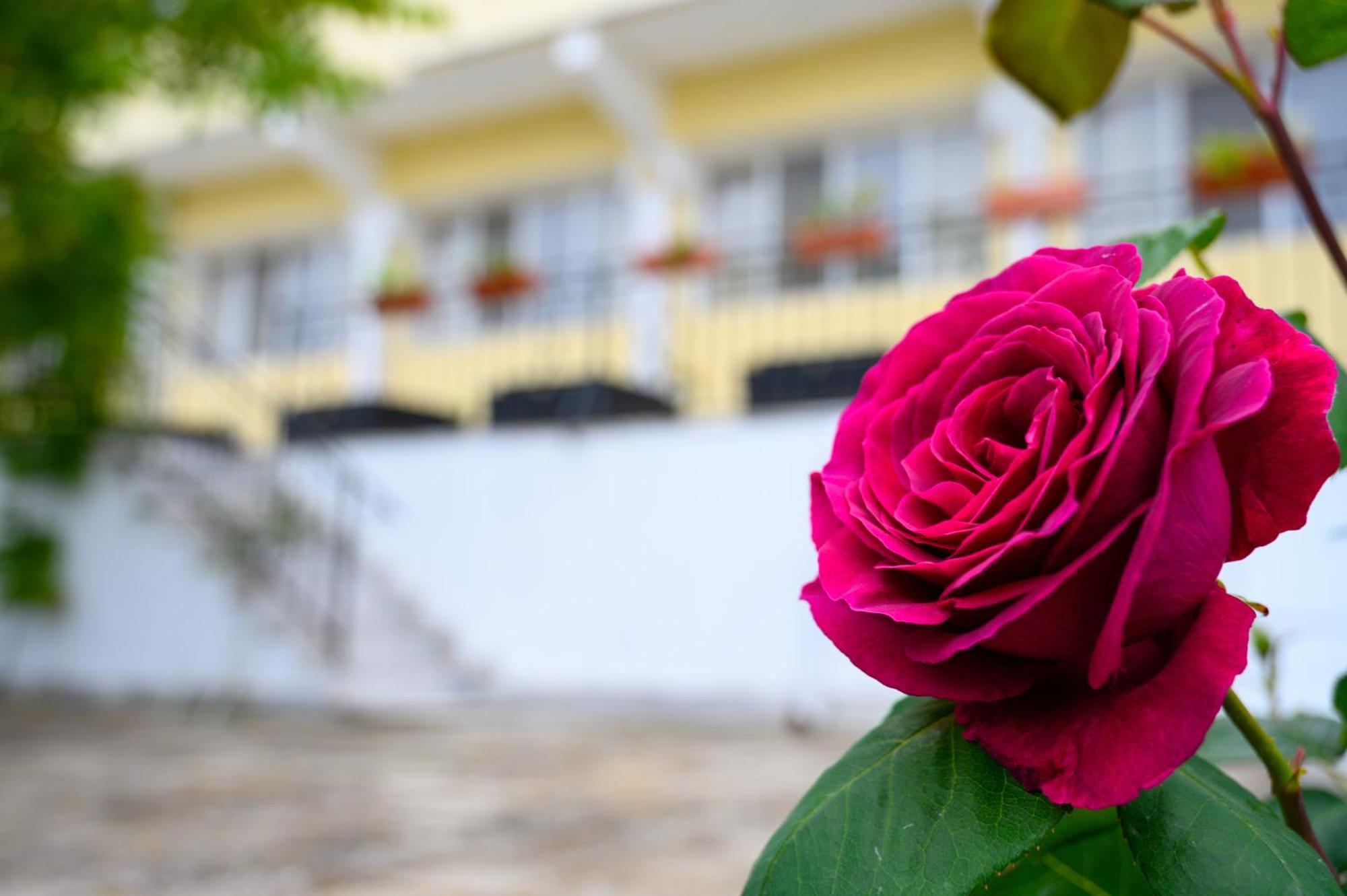 Hotel Effect Saint Mina Sozopol Esterno foto